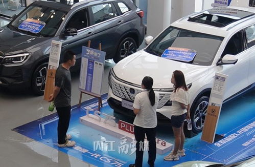 內(nèi)江 汽車(chē) 金九 銷(xiāo)售旺